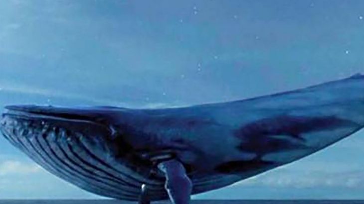 Balena Blu, misteri që fshihet pas 130 vrasjeve në Rusi dhe dhjetëra lëndimeve në mbarë botën
